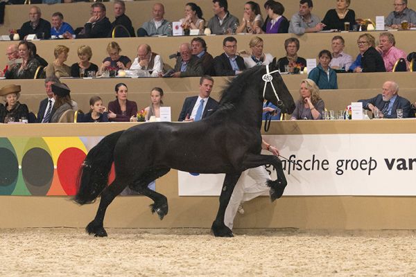 Hessel